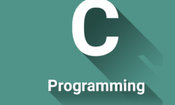 Featured image of post What's C